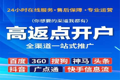 百度SEO推广公司案例分析：成功案例解析
